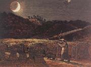Cornfield by Moonlight